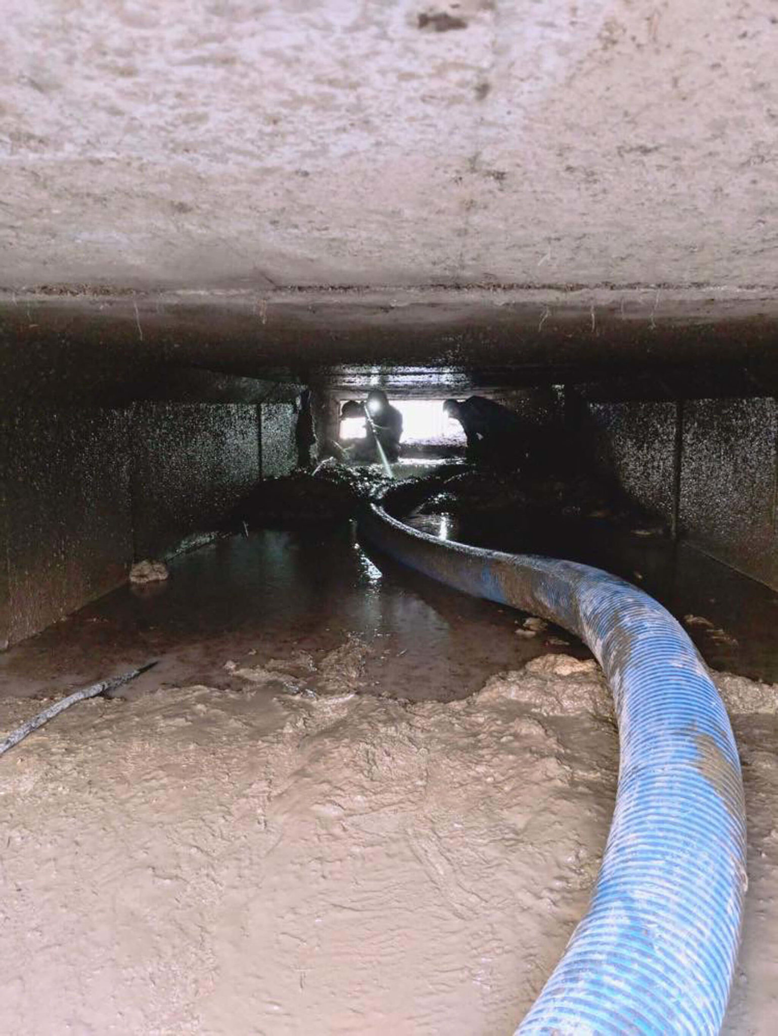 The Insider Secrets Of Blocked Drains Portsmouth Discovered